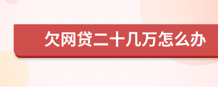欠网贷二十几万怎么办