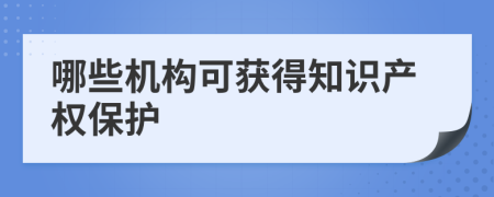 哪些机构可获得知识产权保护