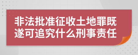 非法批准征收土地罪既遂可追究什么刑事责任