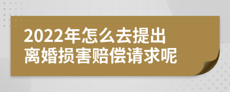 2022年怎么去提出离婚损害赔偿请求呢