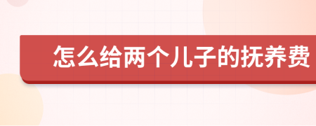 怎么给两个儿子的抚养费