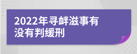 2022年寻衅滋事有没有判缓刑