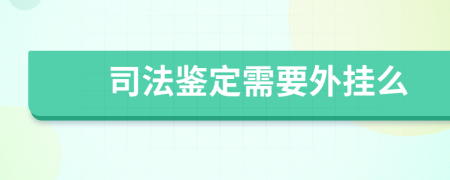 司法鉴定需要外挂么