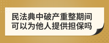 民法典中破产重整期间可以为他人提供担保吗