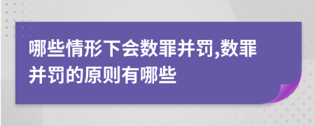 哪些情形下会数罪并罚,数罪并罚的原则有哪些