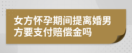 女方怀孕期间提离婚男方要支付赔偿金吗