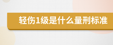 轻伤1级是什么量刑标准