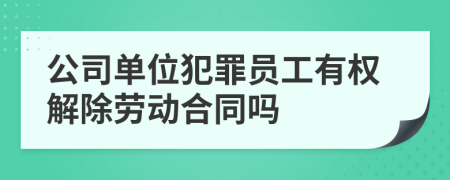 公司单位犯罪员工有权解除劳动合同吗