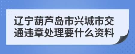 辽宁葫芦岛市兴城市交通违章处理要什么资料