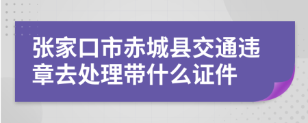 张家口市赤城县交通违章去处理带什么证件