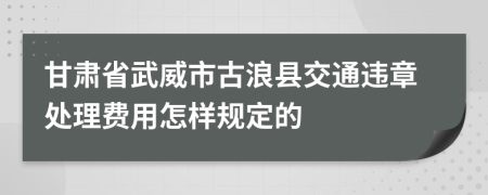 甘肃省武威市古浪县交通违章处理费用怎样规定的