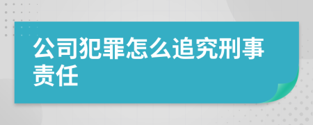 公司犯罪怎么追究刑事责任