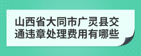 山西省大同市广灵县交通违章处理费用有哪些