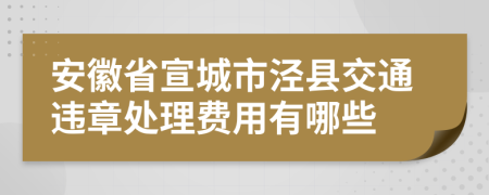 安徽省宣城市泾县交通违章处理费用有哪些