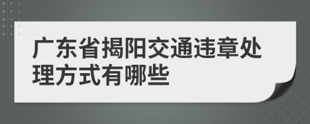 广东省揭阳交通违章处理方式有哪些