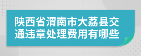 陕西省渭南市大荔县交通违章处理费用有哪些