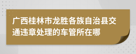 广西桂林市龙胜各族自治县交通违章处理的车管所在哪