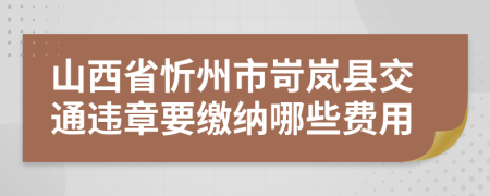 山西省忻州市岢岚县交通违章要缴纳哪些费用