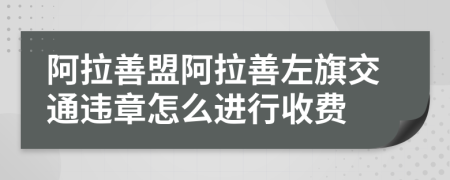 阿拉善盟阿拉善左旗交通违章怎么进行收费