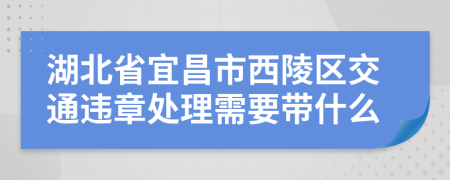 湖北省宜昌市西陵区交通违章处理需要带什么