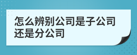 怎么辨别公司是子公司还是分公司