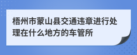 梧州市蒙山县交通违章进行处理在什么地方的车管所