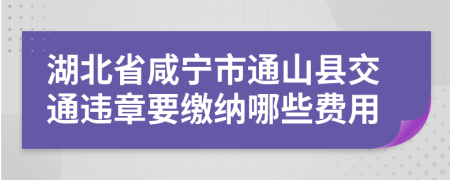 湖北省咸宁市通山县交通违章要缴纳哪些费用