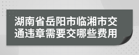 湖南省岳阳市临湘市交通违章需要交哪些费用