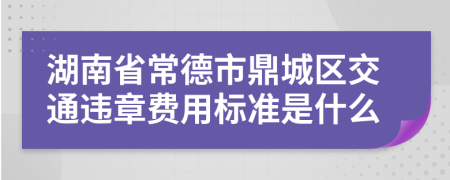 湖南省常德市鼎城区交通违章费用标准是什么