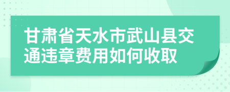 甘肃省天水市武山县交通违章费用如何收取