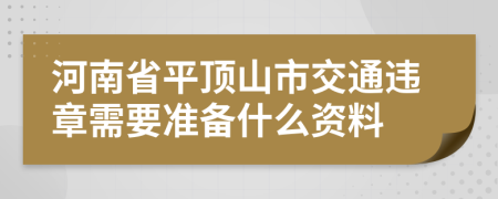 河南省平顶山市交通违章需要准备什么资料