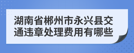 湖南省郴州市永兴县交通违章处理费用有哪些