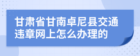 甘肃省甘南卓尼县交通违章网上怎么办理的