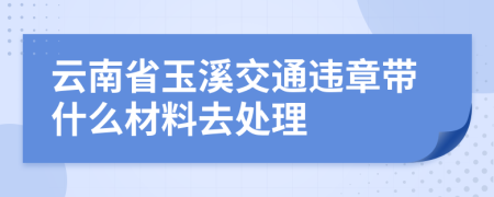 云南省玉溪交通违章带什么材料去处理