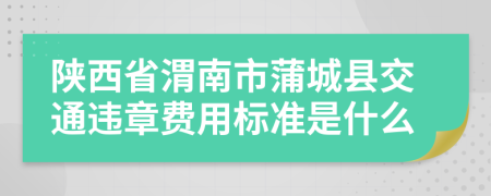 陕西省渭南市蒲城县交通违章费用标准是什么