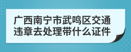 广西南宁市武鸣区交通违章去处理带什么证件