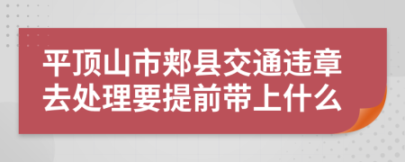 平顶山市郏县交通违章去处理要提前带上什么