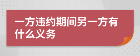 一方违约期间另一方有什么义务