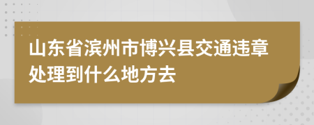 山东省滨州市博兴县交通违章处理到什么地方去