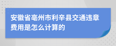 安徽省亳州市利辛县交通违章费用是怎么计算的
