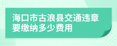 海口市古浪县交通违章要缴纳多少费用