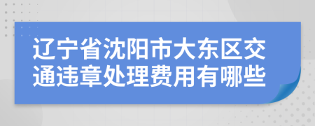 辽宁省沈阳市大东区交通违章处理费用有哪些