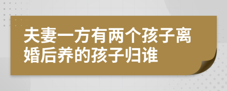 夫妻一方有两个孩子离婚后养的孩子归谁