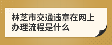 林芝市交通违章在网上办理流程是什么