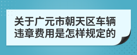关于广元市朝天区车辆违章费用是怎样规定的