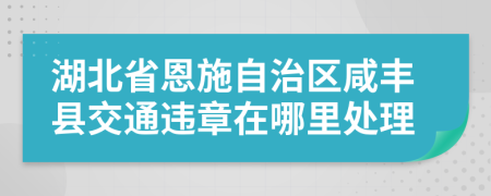 湖北省恩施自治区咸丰县交通违章在哪里处理