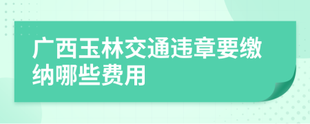 广西玉林交通违章要缴纳哪些费用