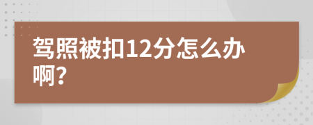 驾照被扣12分怎么办啊？