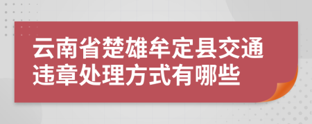 云南省楚雄牟定县交通违章处理方式有哪些