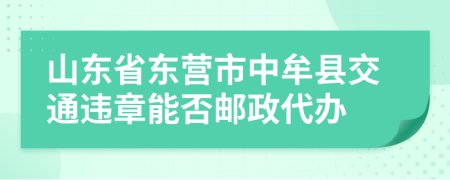 山东省东营市中牟县交通违章能否邮政代办